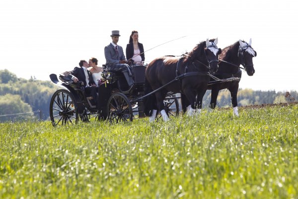 HochzeitEndres07 05 16 934 5cb42